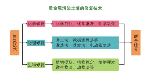 重金屬污染土壤修復(fù)技術(shù)