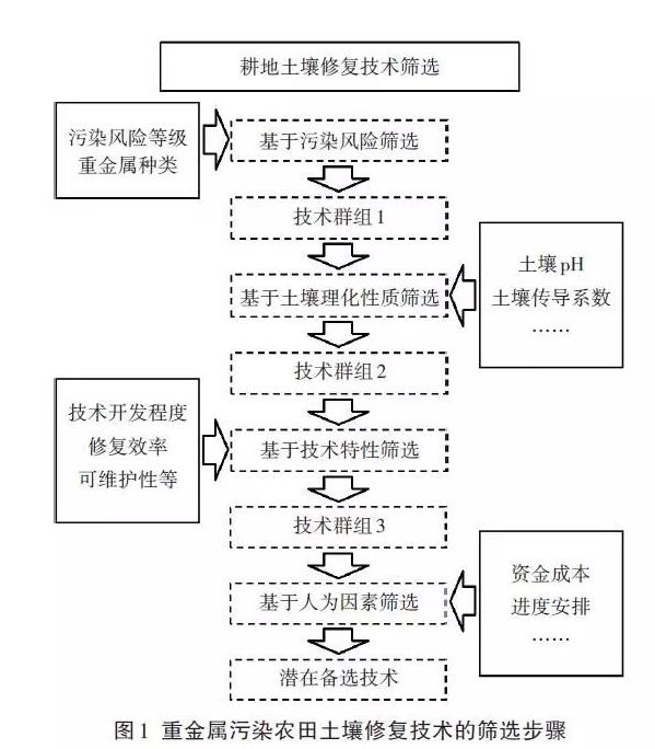 農田重金屬污染土壤修復技術