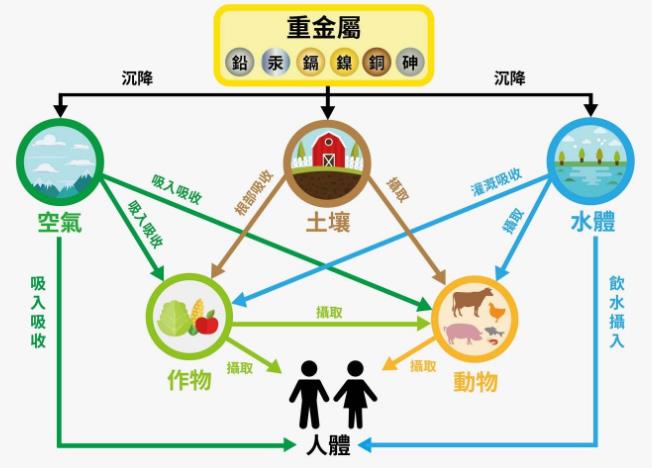 重金屬污染主要途徑