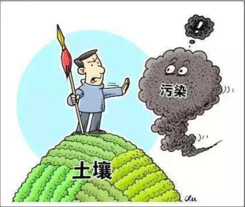土壤修復案例